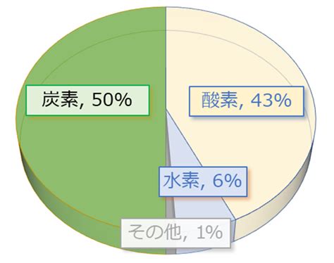 木 元素|樹木の部位別元素組成